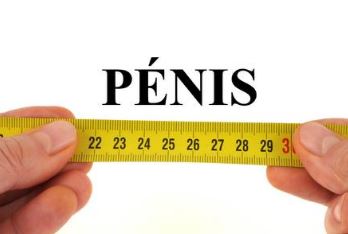 ペニスサイズの測り方